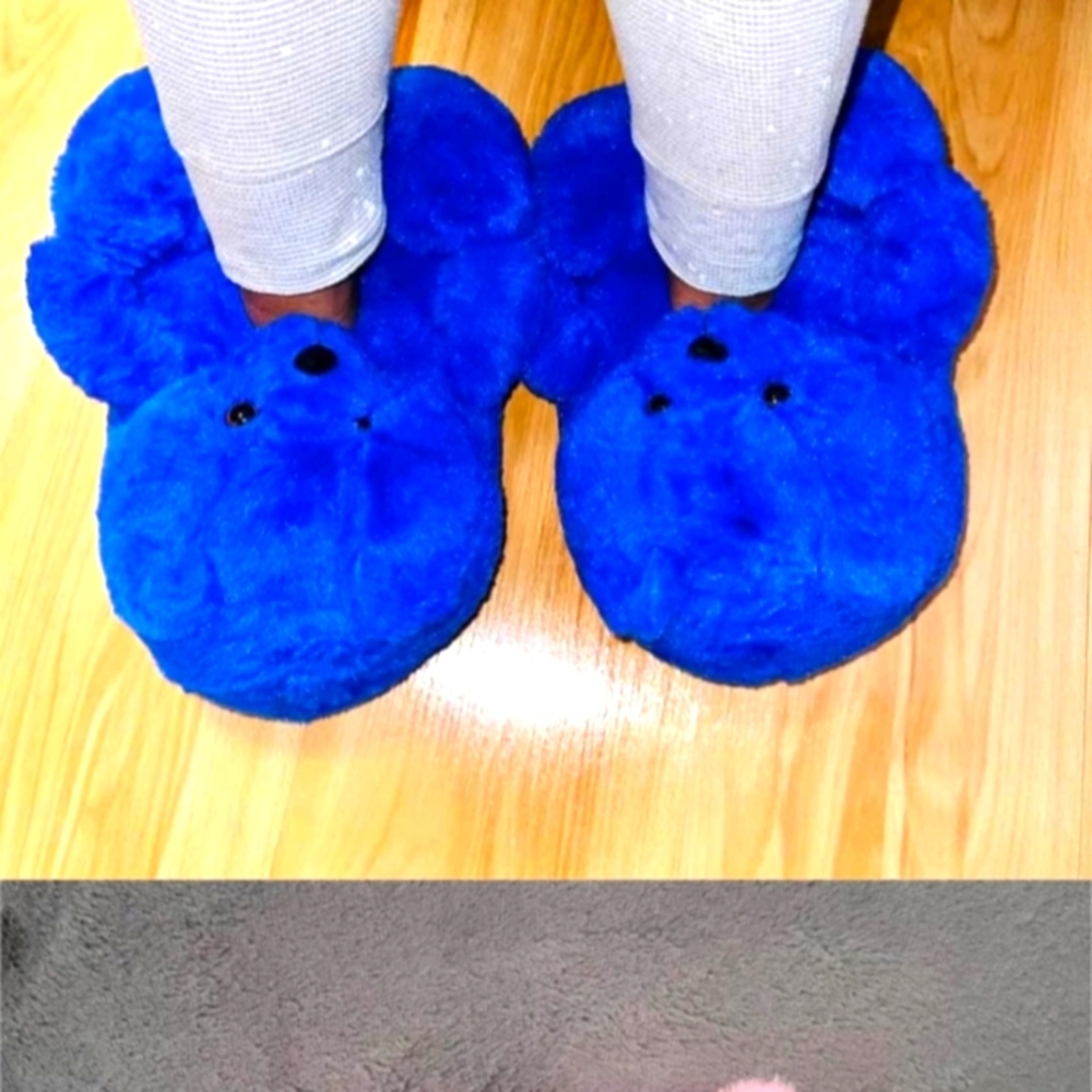 Christmas Bear house shoes!